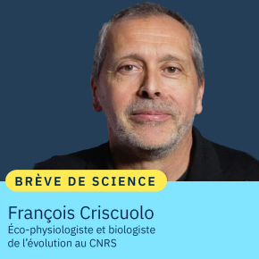 Portrait de François Criscuolo, éco-physiologiste et biologiste de l'évolution au CNRS