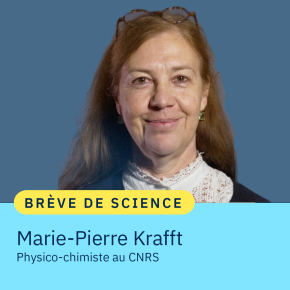 Marie-Pierre Krafft, physico-chimiste au CNRS