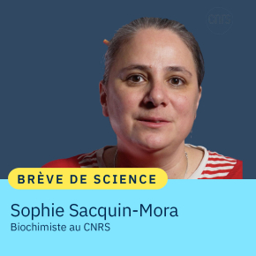 Portrait de Sophie Sacquin-Mora, biochimiste