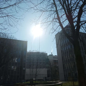 Extérieur jour, ciel bleu sans nuages, soleil visible en évidence en arrière plan, immeuble vus en contre-plongée au milieu, arbres partiellement visibles au premier plan