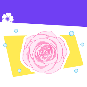 Rose dessinée